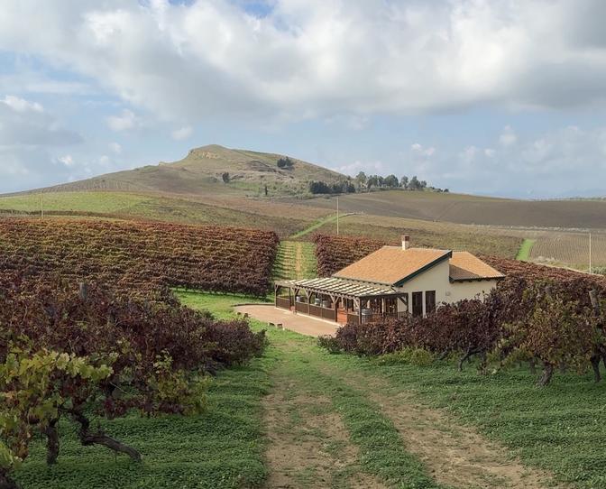 Weinberge in Sizilien mit einem Haus, das von der Organisation Libera Terra als Showroom genutzt wird