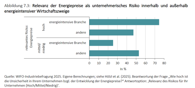 Relevanz der Energiepreise.
