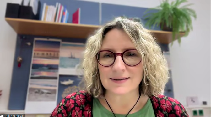 Die Leiterin der Bundesstelle für Sektenfragen Ulrike Schiesser im Zoom-Gespräch mit der WZ.