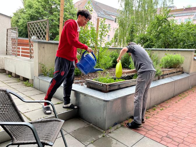 Zivildiener Korin Sehati arbeitet bei der Caritas mit Menschen mit Behinderung.