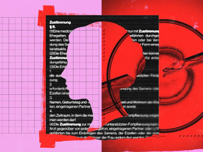 Rosa-rote Collage: Eine Silhouetten über unscharfem deutschen Text, links kariertes Papier und rechts Petrischale mit Pipette
