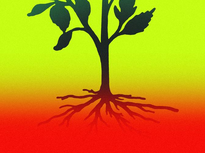 Silhouette einer Pflanze mit Wurzeln vor einem Hintergrund mit Farbverlauf von Grün nach Rot, der Wachstum und Vitalität symbolisiert.