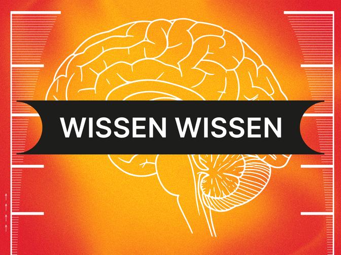 Illustration eines Gehirns auf orangefarbenem Hintergrund, überlagert von einem schwarzen Banner mit der Aufschrift "WISSEN WISSEN".