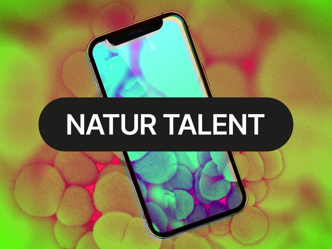 Smartphone mit buntem Hintergrund und Micrococcen und der Aufschrift "NATUR TALENT" in schwarzem Oval, umgeben von einer unscharfen, lebhaften Textur.