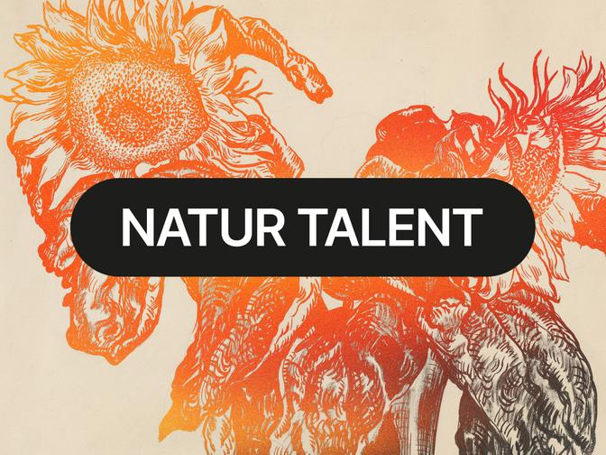 Illustration von verblühten Sonnenblumen in Orangentönen, überschrieben von einem schwarzen Banner mit weißem Text: "NATUR TALENT".