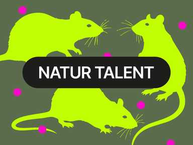 Drei hellgrüne Mäusen-Silhouetten auf dunklem Hintergrund, mit rosa Punkten und dem Schriftzug „NATUR TALENT“ in einem schwarzen Oval.