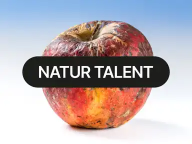 Eine Nahaufnahme eines verwitterten Apfels vor einem Hintergrund mit Farbverlauf, in dessen Mitte in fetter Schrift die Aufschrift „Natur Talent“ zu sehen ist.