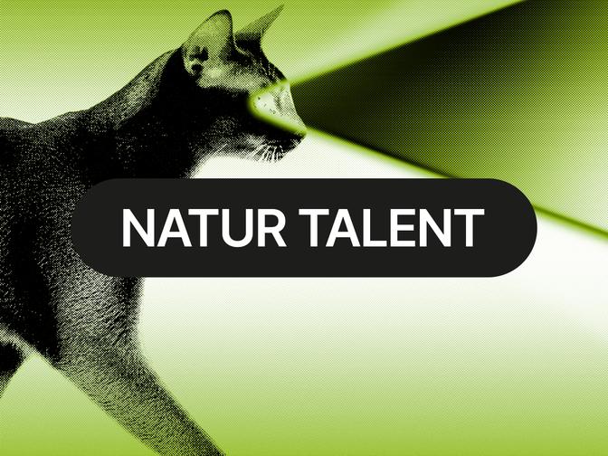 Eine Katze mit leuchtenden Augen vor einem grünlichen Hintergrund. Der Text "NATUR TALENT" ist über dem Bild zentriert.