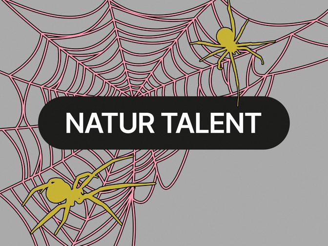 Zwei gelbe Spinnen auf rosa Spinnennetz, darunter schwarzer Kasten mit weißer Schrift "NATUR TALENT".