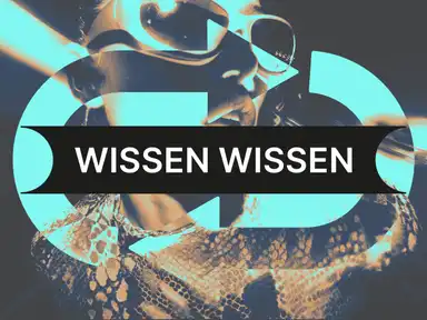 Eine Person mit Sonnenbrille, überlagert mit dem Schriftzug „WISSEN WISSEN“, umgeben von abstrakten blauen Formen.