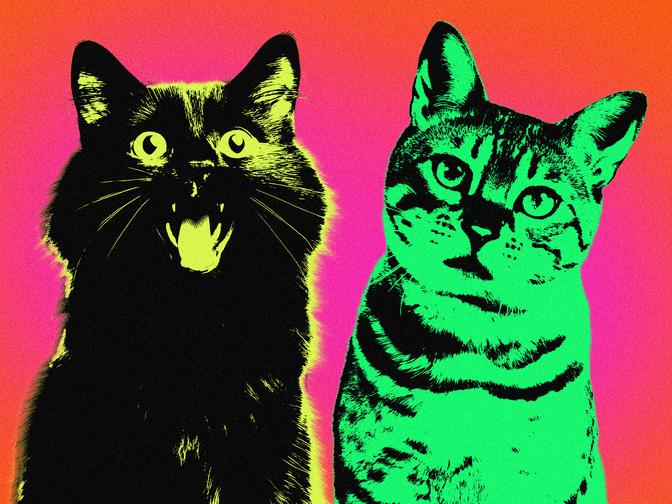 Eine Illustration zweier Katzen