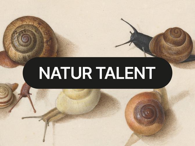 Illustration of various snails with diverse shell colors, overlaid with the text "Natur Talent" in bold letters.