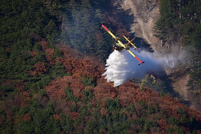 Ein Löschflugzeug wirft Wasser ab